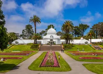 Ботанический сад Сан-Франциско