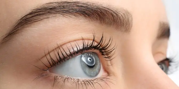 Lash Lift