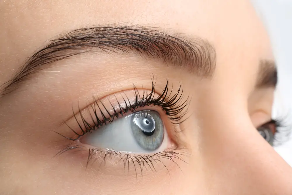 Lash Lift