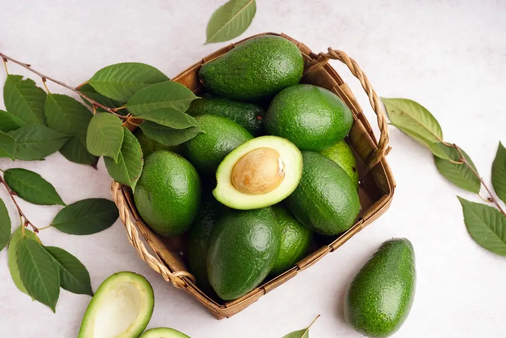 Северной Калифорнии