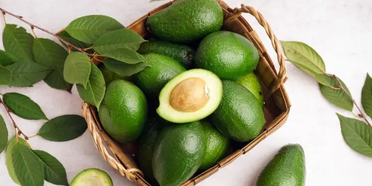 Северной Калифорнии