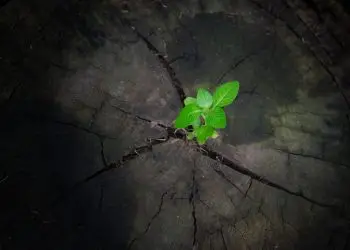 как найти опору в эпоху неопределённости