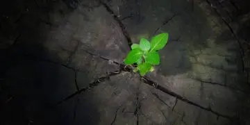 как найти опору в эпоху неопределённости