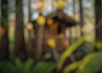 Домик на дереве стал самым желанным объектом Airbnb в Калифорнии