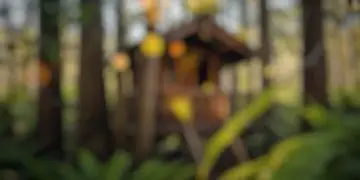 Домик на дереве стал самым желанным объектом Airbnb в Калифорнии