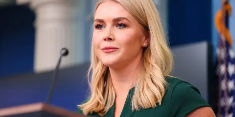 Косметичка Кэролайн Ливитт