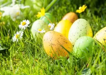 топ-события Калифорнии