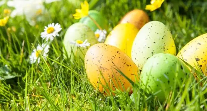 топ-события Калифорнии