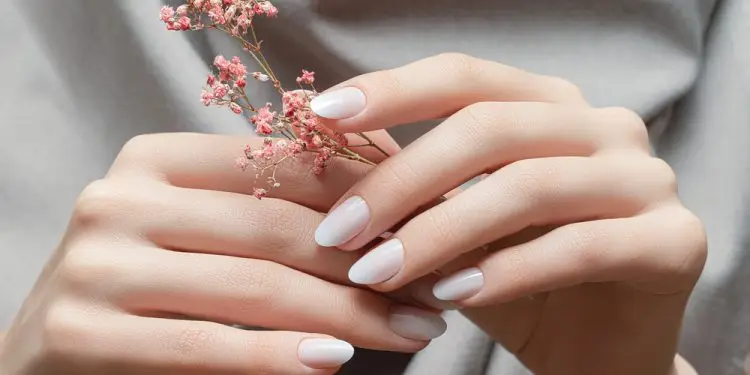 Глэмпинг в Калифорнии: 7 мест, где можно с комфортом отдохнуть на природе