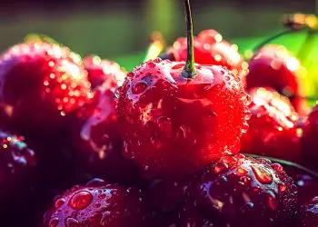 Май со вкусом ягод: сочные весенние ноты в косметике и парфюмерии