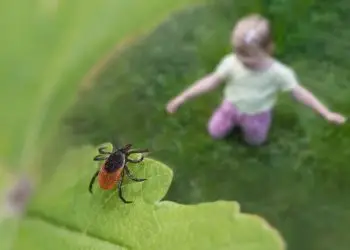 Фото: Shutterstock