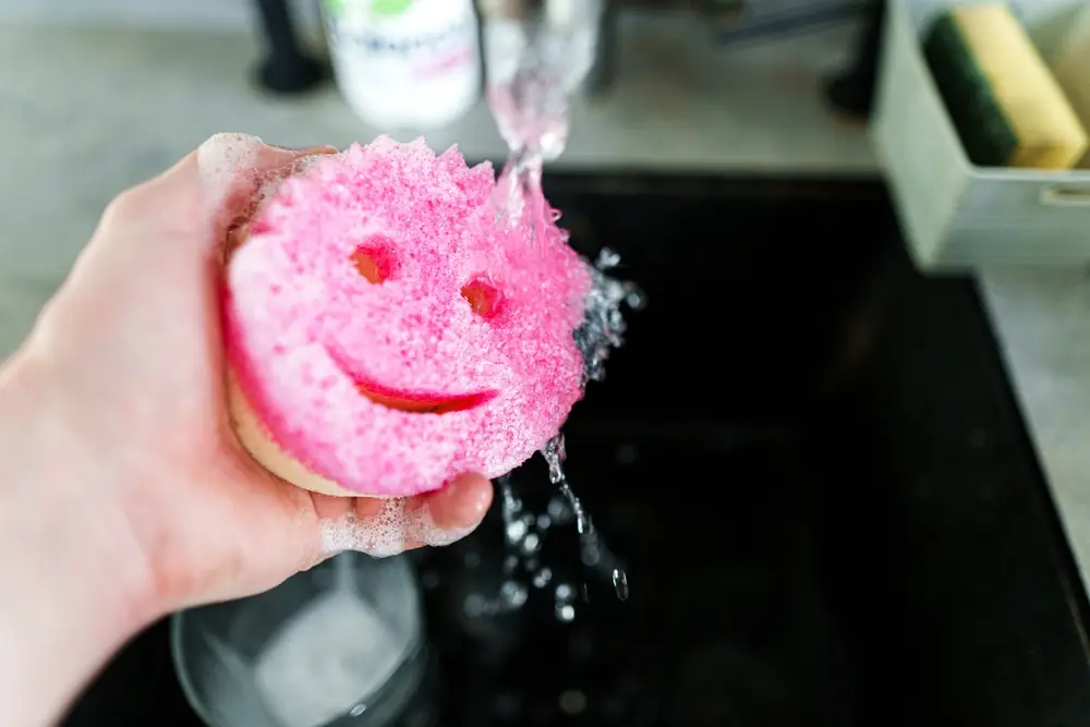 Губка-мама и губка-папа