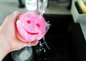 Губка-мама и губка-папа