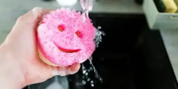 Губка-мама и губка-папа