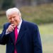 Трамп стал дедушкой в 11-й раз