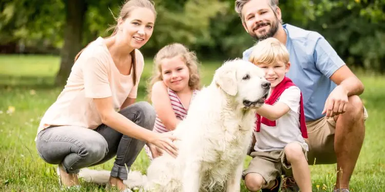 Лучшие предложения Memorial Day 2025: распродажи, которые стоят внимания