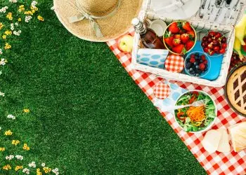 10 правил удачного летнего пикника