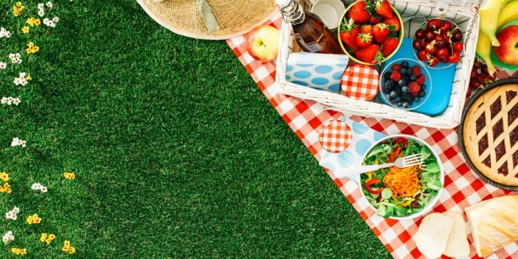 10 правил удачного летнего пикника