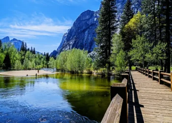 Национальные парки США будут открыты для всех 19 июня