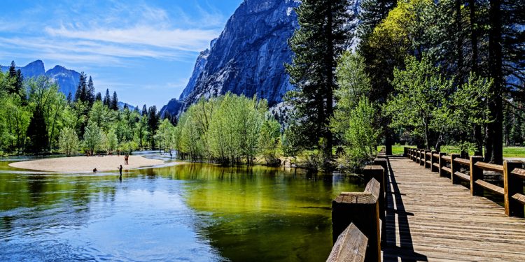 Национальные парки США будут открыты для всех 19 июня