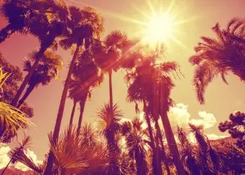 Как пережить аномально жаркое лето в Калифорнии