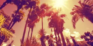 Как пережить аномально жаркое лето в Калифорнии