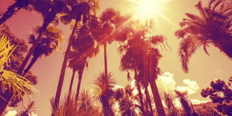 Как пережить аномально жаркое лето в Калифорнии