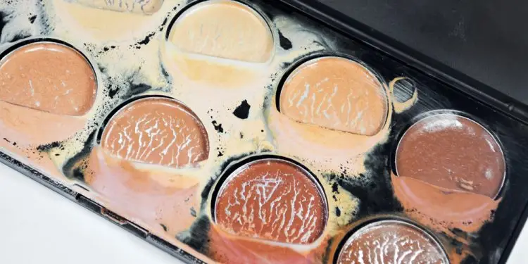 Национальные парки США будут открыты для всех 19 июня: когда еще вход бесплатный?