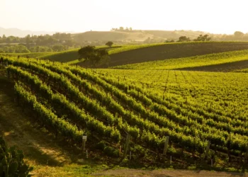 Пять курортов Калифорнии