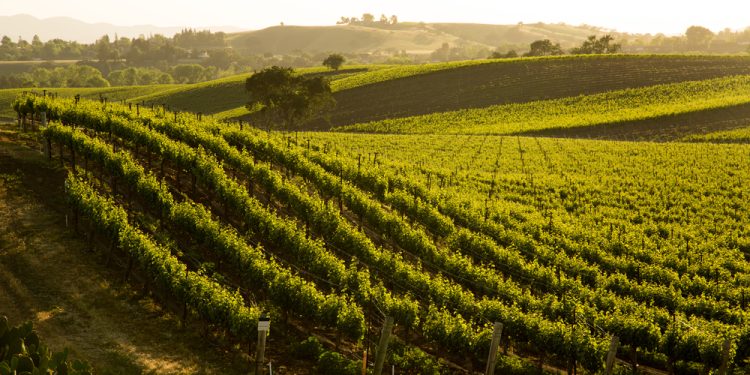 Пять курортов Калифорнии