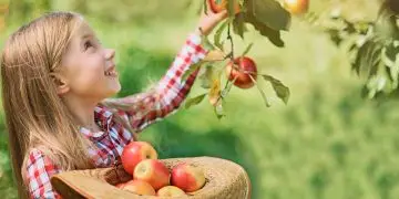 Чем заняться с детьми в Калифорнии