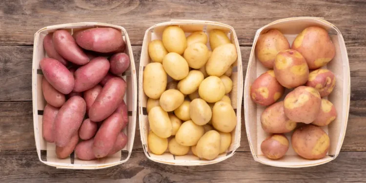 Полезна ли картошка