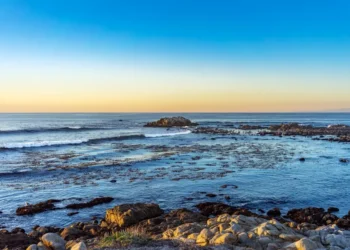 приливные бассейны с морской жизнью