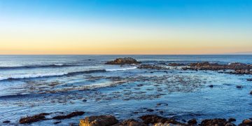 приливные бассейны с морской жизнью