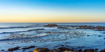 приливные бассейны с морской жизнью