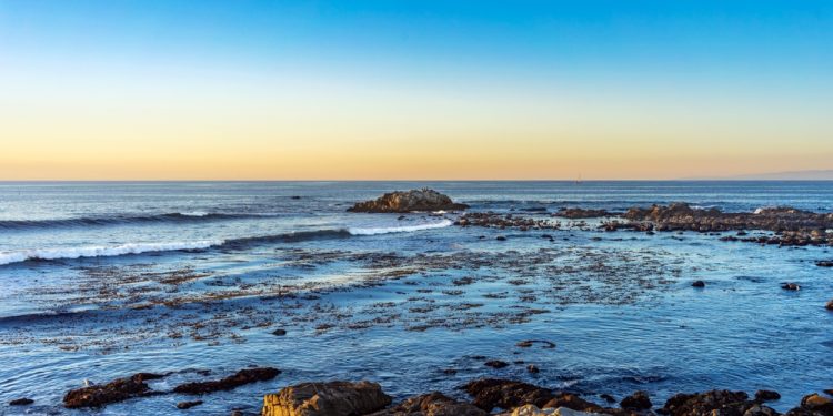 приливные бассейны с морской жизнью