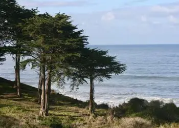 10 идеальных мест Калифорнии для трехдневного уикенда