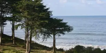 10 идеальных мест Калифорнии для трехдневного уикенда