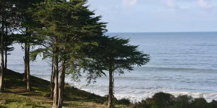 10 идеальных мест Калифорнии для трехдневного уикенда