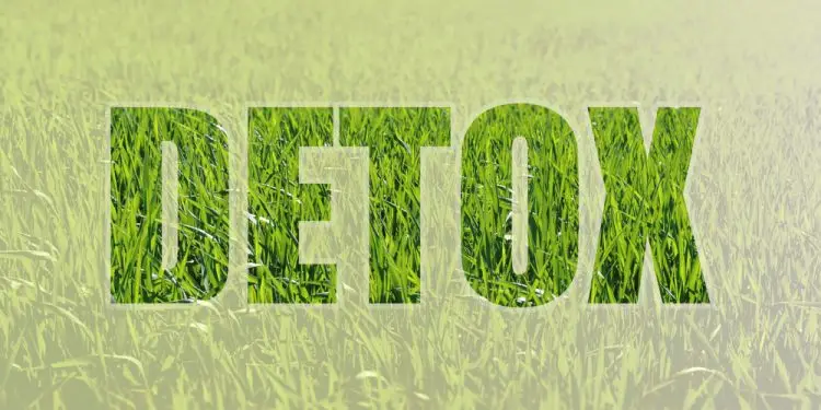 чистка от паразитов