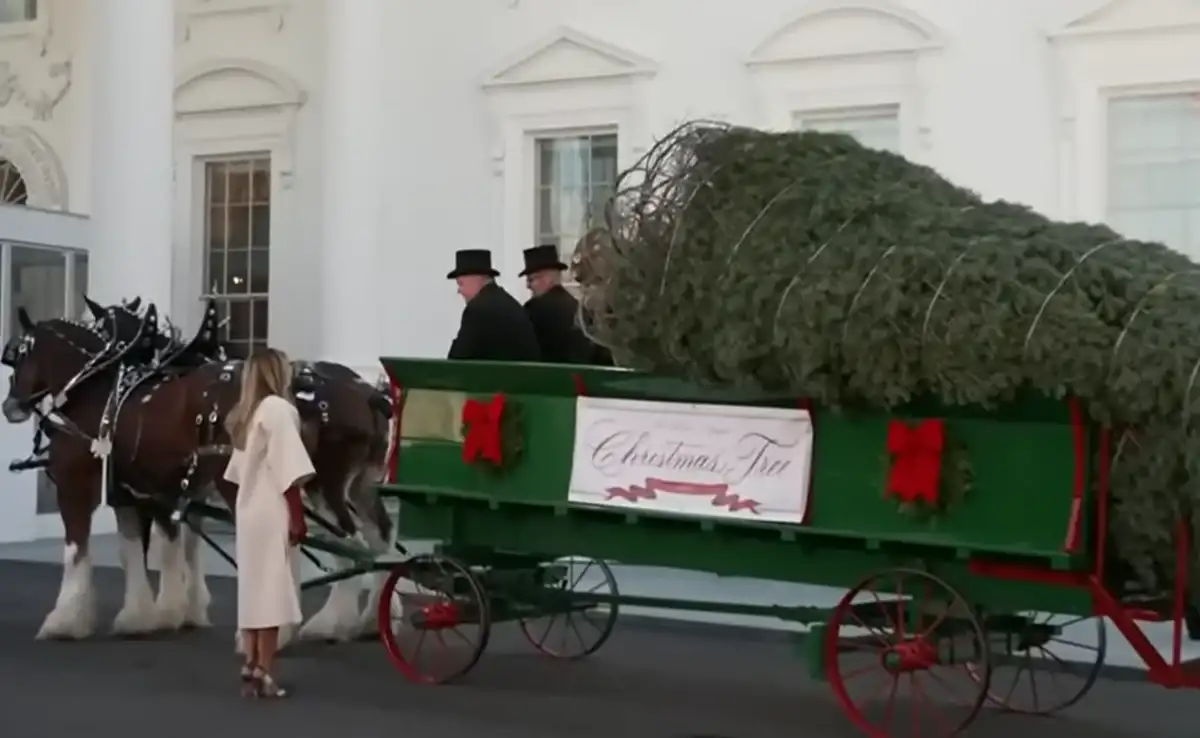 Фото: кадр видео Fox News/YouTube