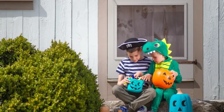 Что означает бирюзовая тыква