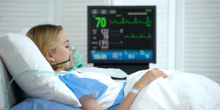 кишечные бактерии