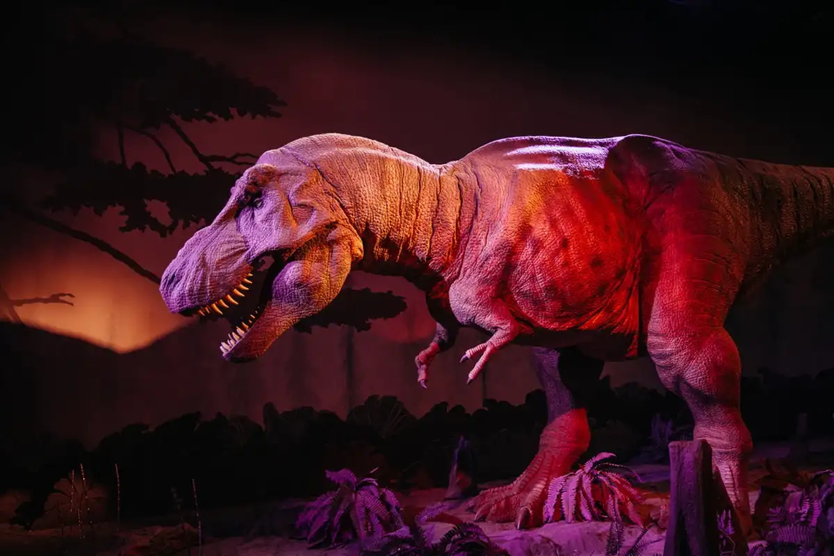 Фото: Shutterstock