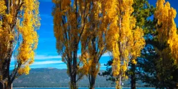 9 уютных и красивых осенних маршрутов на выходные из Сакраменто