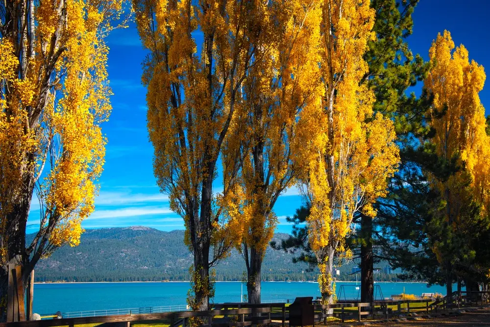 9 уютных и красивых осенних маршрутов на выходные из Сакраменто