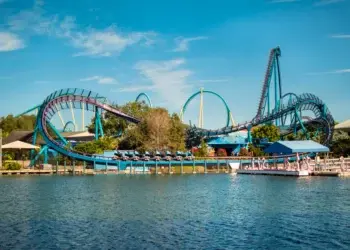 В США на аттракционе в женщину врезалась утка