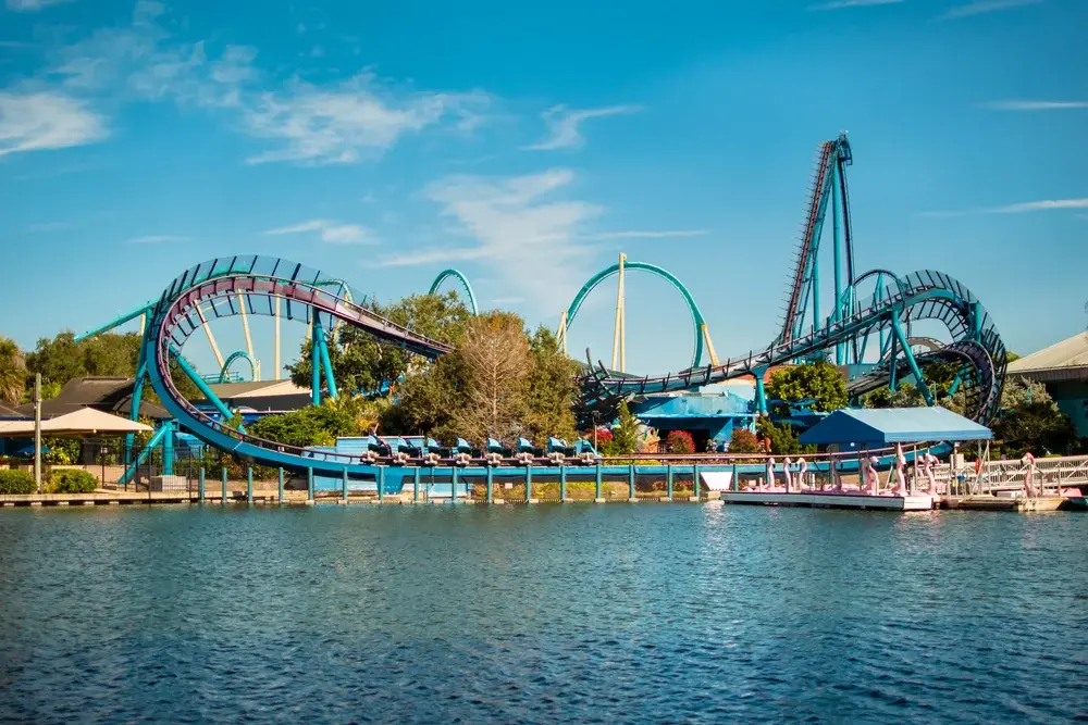 В США на аттракционе в женщину врезалась утка