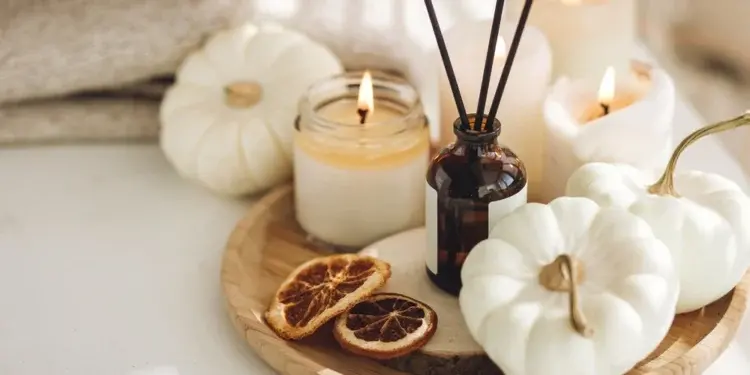 Эти 7 предметов в доме могут повышать риск рака