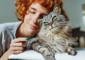 10 признаков того, что ваша кошка вас действительно любит